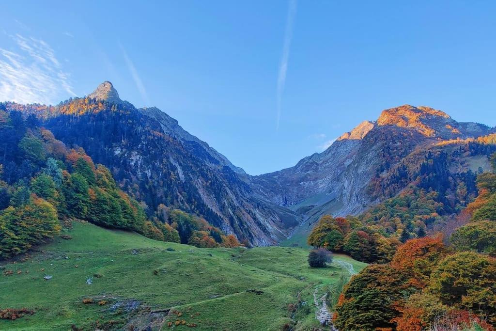 Logement 6 Pers Au Coeur Des Montagnes Pyreneennes Linge De Maison Et Papier Toilette Non Fournis Boutx Екстериор снимка