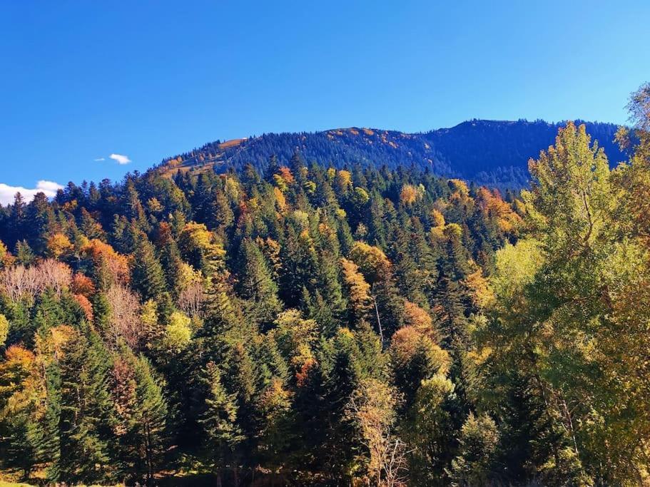 Logement 6 Pers Au Coeur Des Montagnes Pyreneennes Linge De Maison Et Papier Toilette Non Fournis Boutx Екстериор снимка