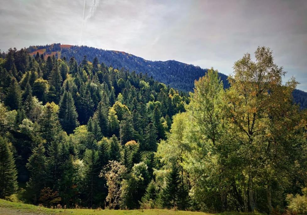 Logement 6 Pers Au Coeur Des Montagnes Pyreneennes Linge De Maison Et Papier Toilette Non Fournis Boutx Екстериор снимка
